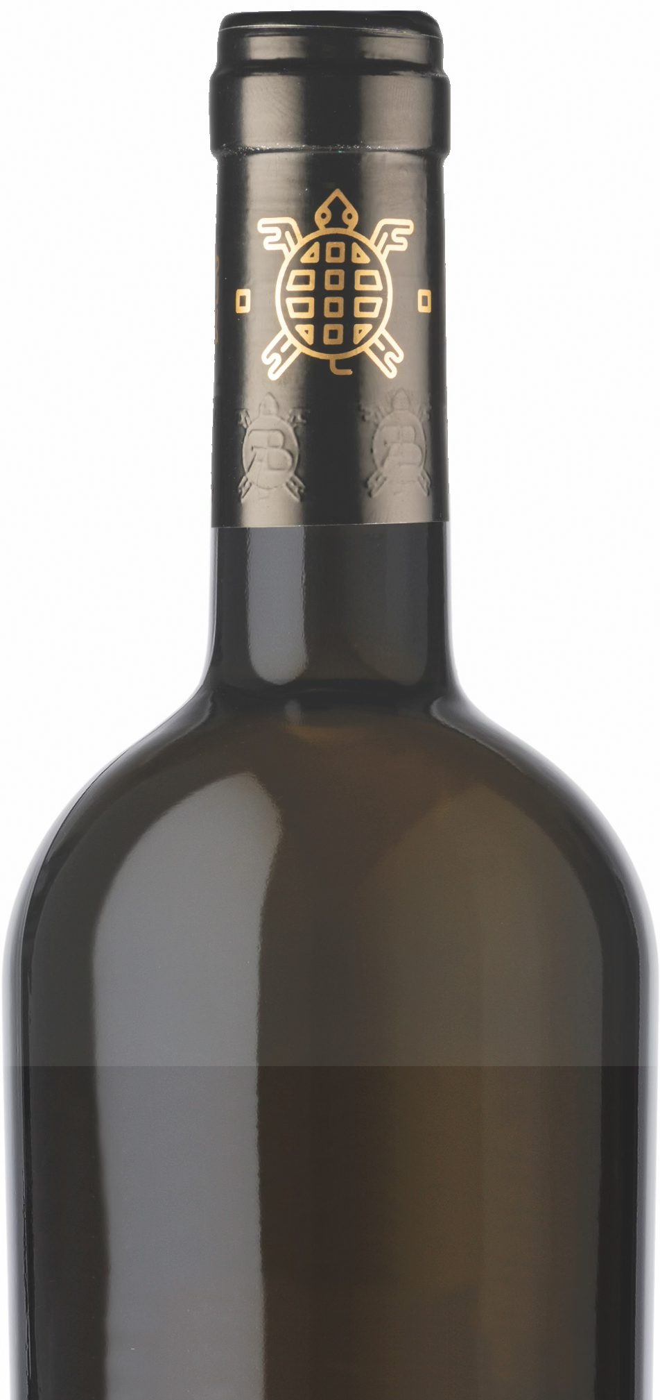 Close-up of a dark bottle neck with a metallic textured cap.
